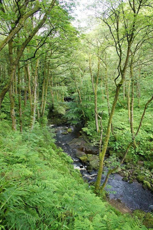 Beautiful Riverside Home, Hebden Bridge, Woodland Views, Sleeps 2 - 9 외부 사진